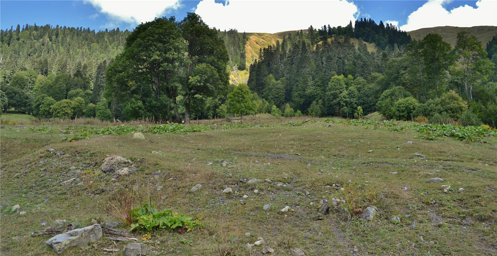 Авадхара (Ауадхара), image of landscape/habitat.