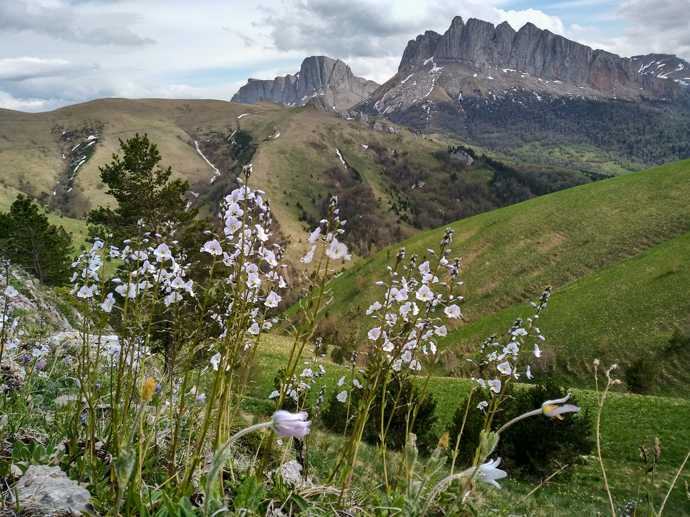 Гора Асбестная, image of landscape/habitat.