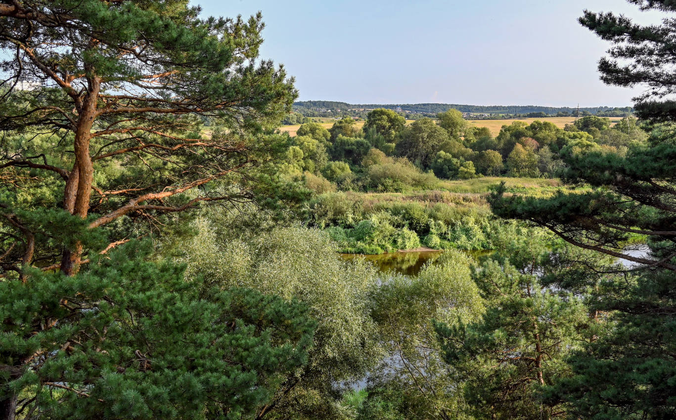 Окрестности деревни Аниково, image of landscape/habitat.