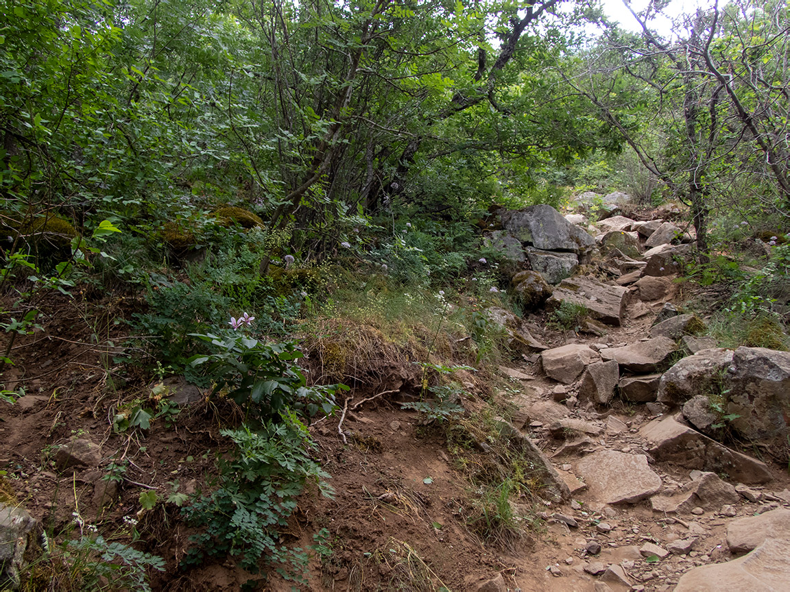 Аюдаг, image of landscape/habitat.