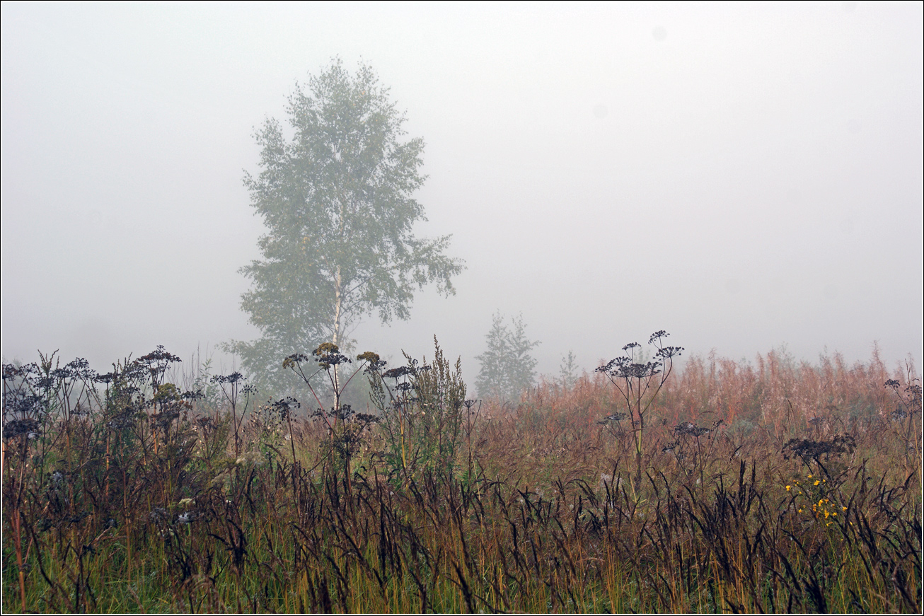 Окрестности Хрипани, image of landscape/habitat.