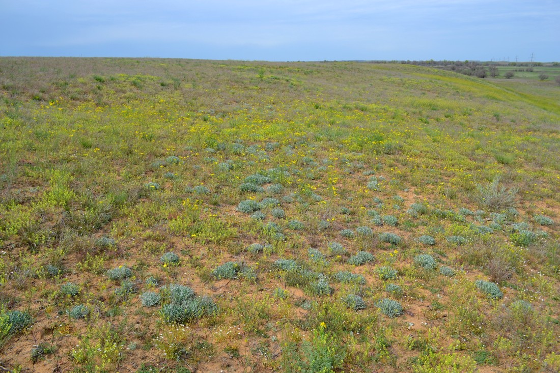 Дельта (средняя зона), image of landscape/habitat.