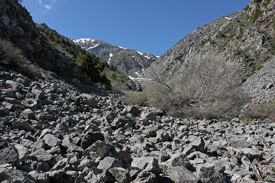 Ущелье Иргайлы, image of landscape/habitat.