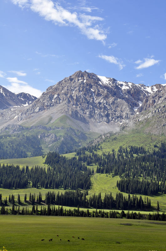 Долина реки Текес, image of landscape/habitat.