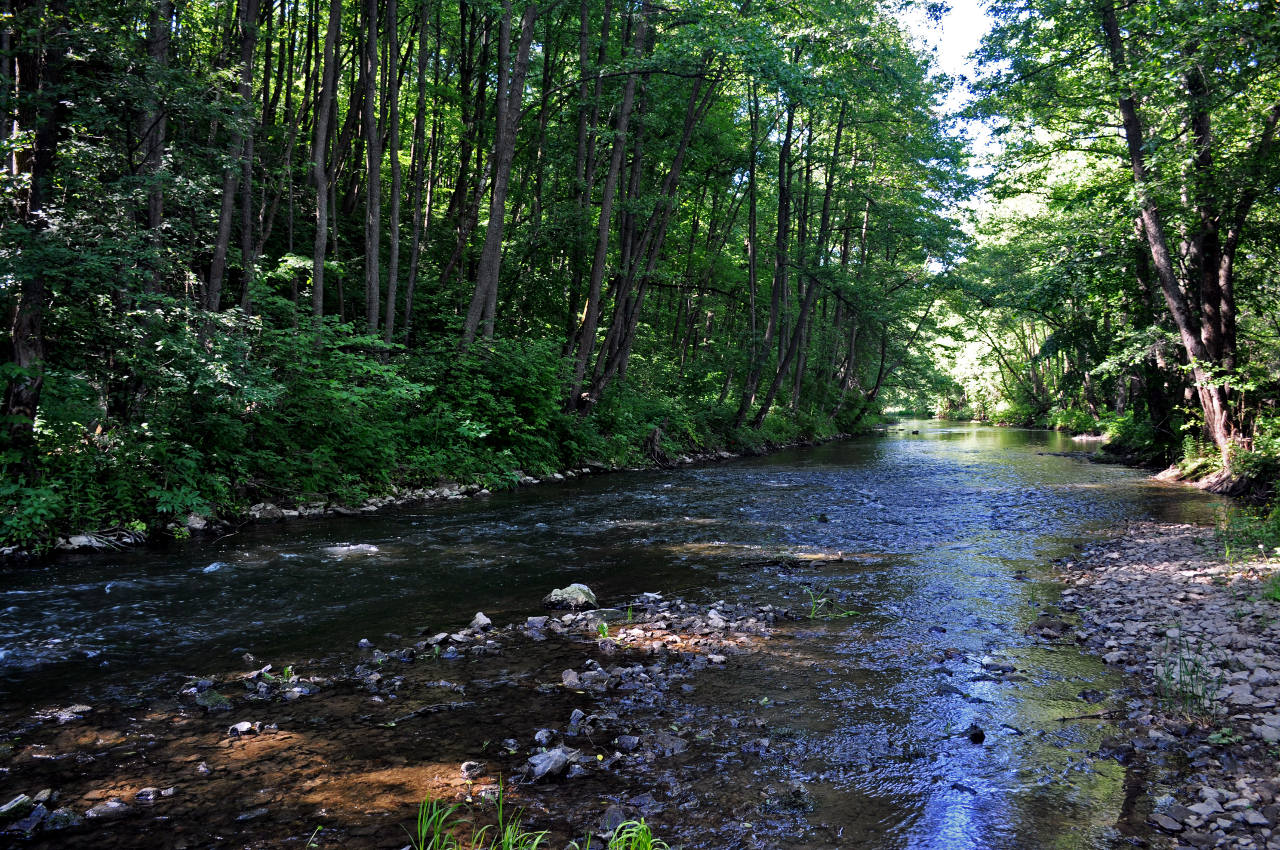 Долина реки Вашана, image of landscape/habitat.