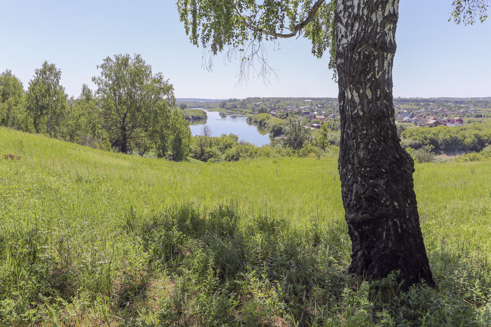 Спасская гора и её окрестности, image of landscape/habitat.