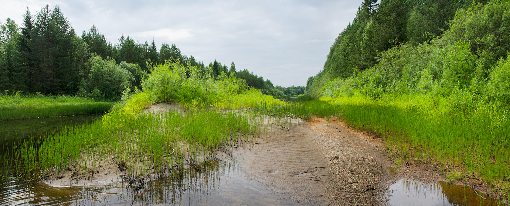 Усть-Янчер и окрестности, image of landscape/habitat.