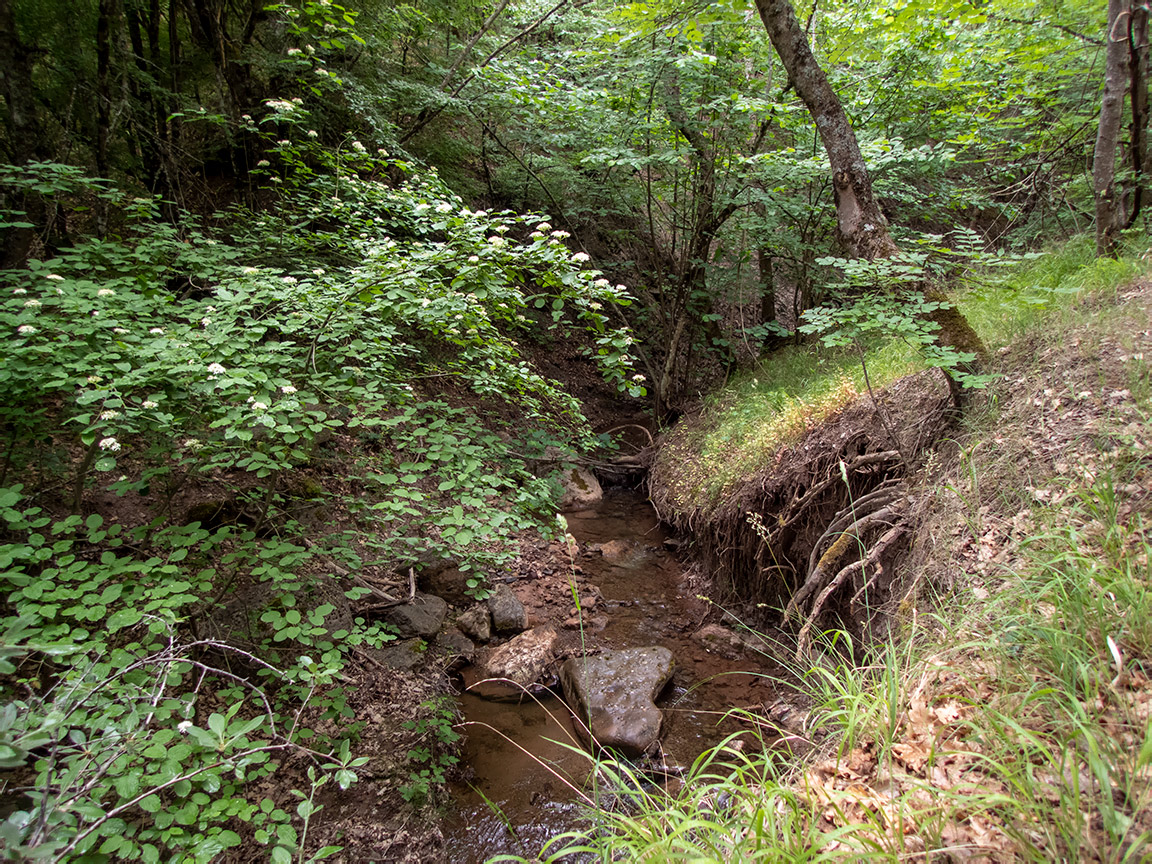 Долина реки Сотера, image of landscape/habitat.