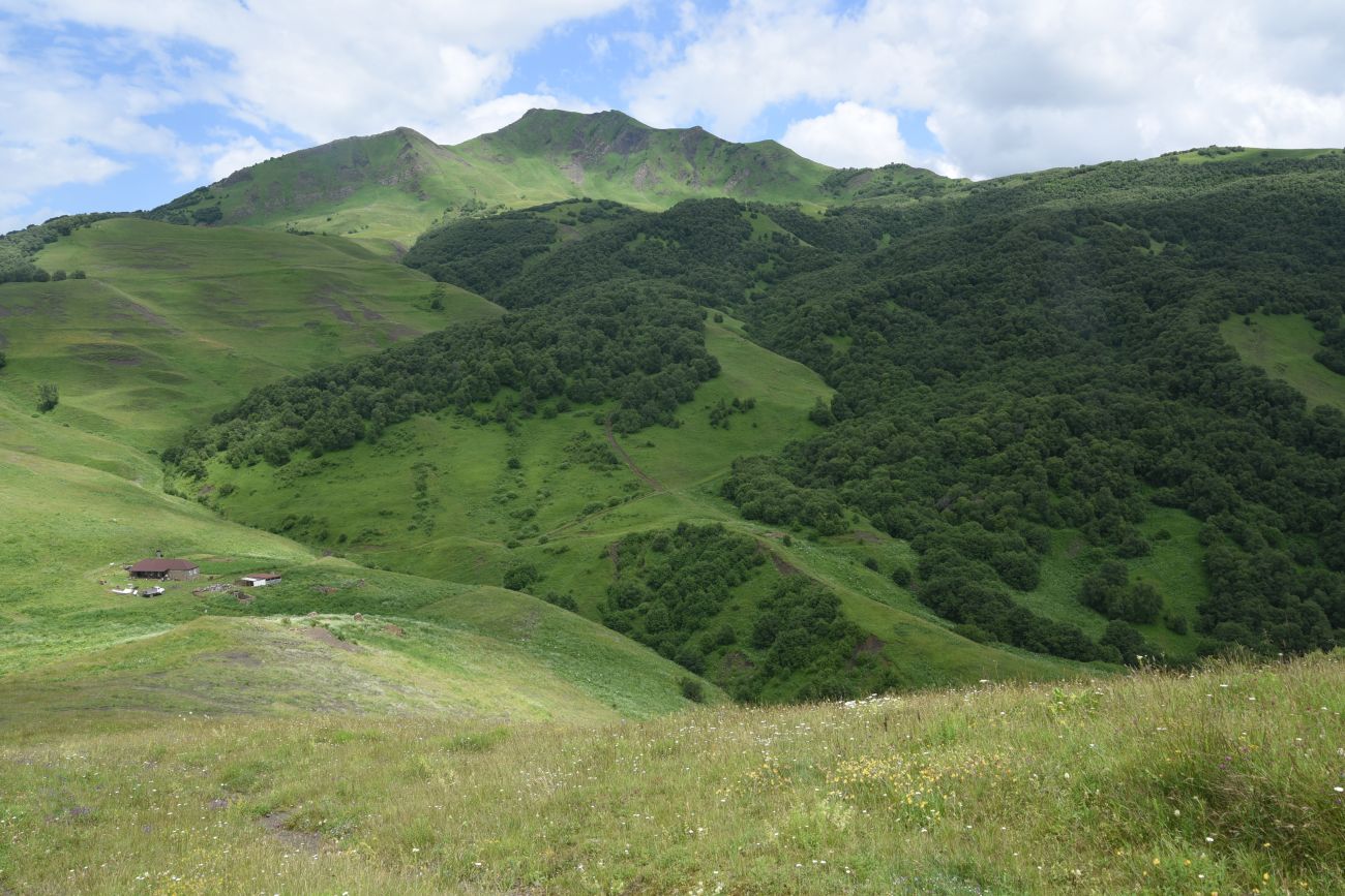 Сигнальная гора, image of landscape/habitat.