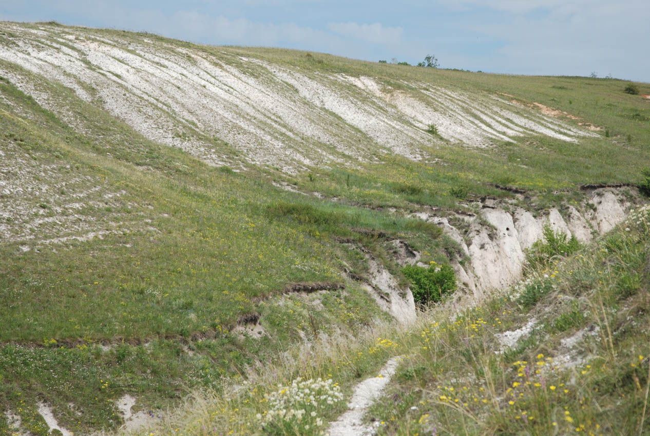 Костомарово, image of landscape/habitat.