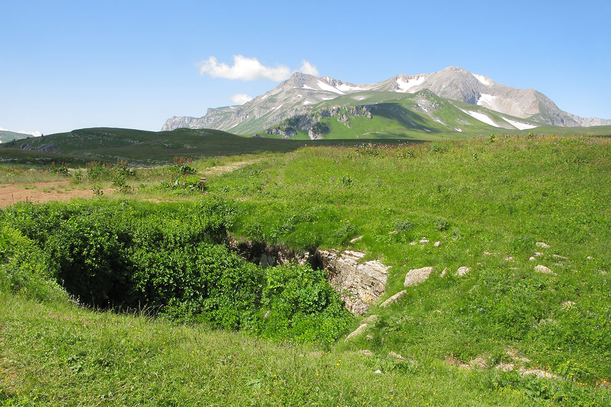 Абадзеш, image of landscape/habitat.