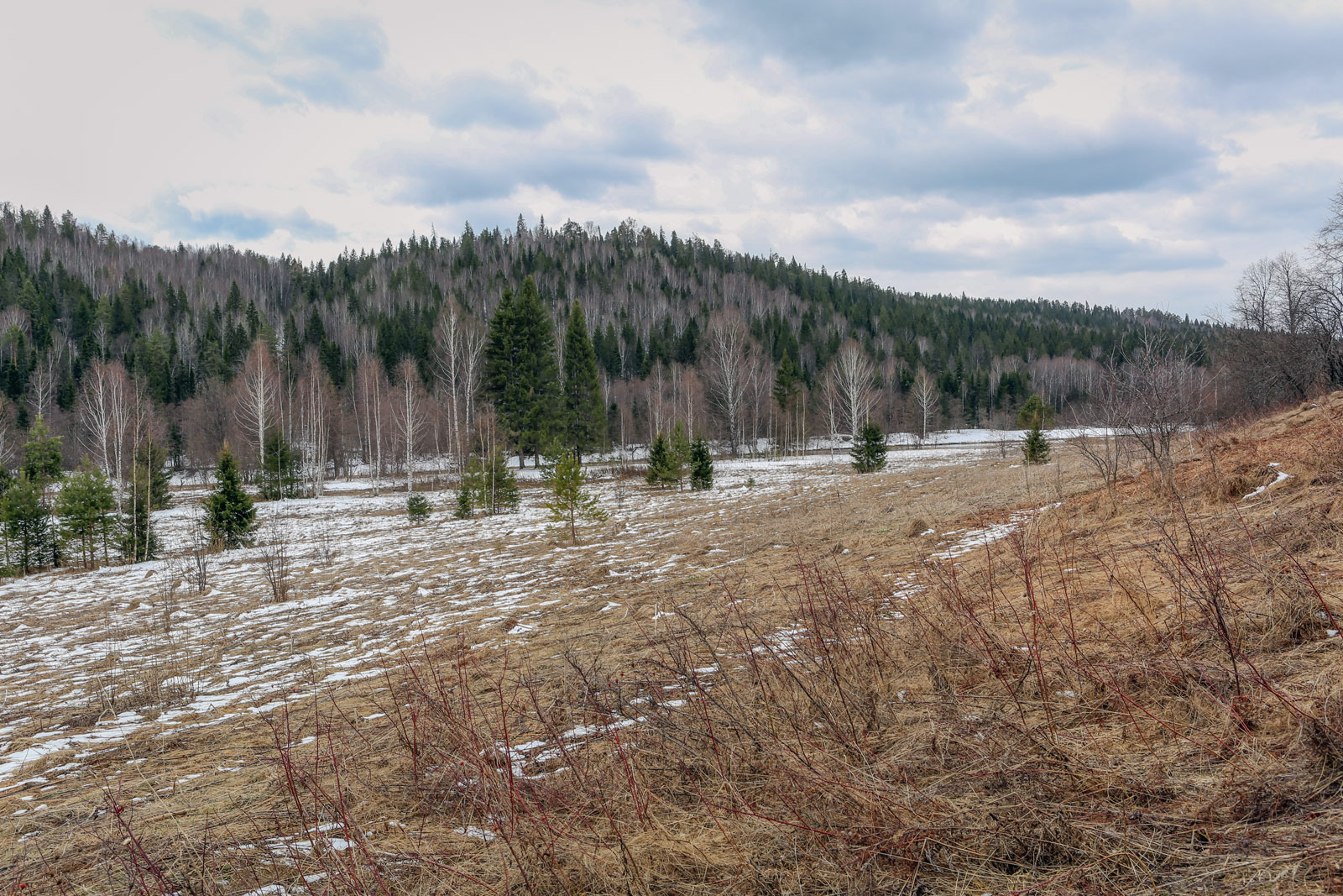 Камень Ростун и его окрестности, image of landscape/habitat.