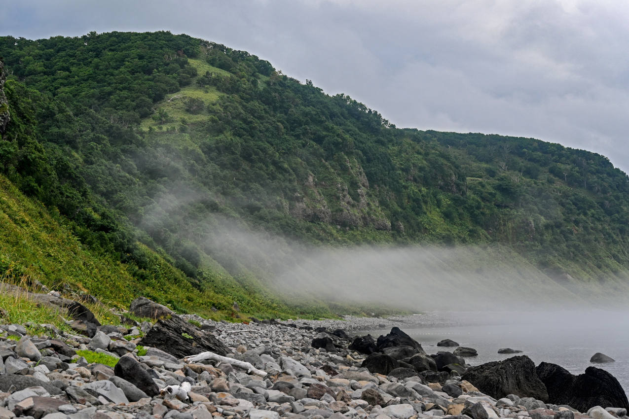 Устье реки Чёрная, image of landscape/habitat.