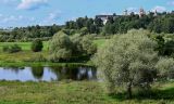 Окрестности города Звенигород, image of landscape/habitat.