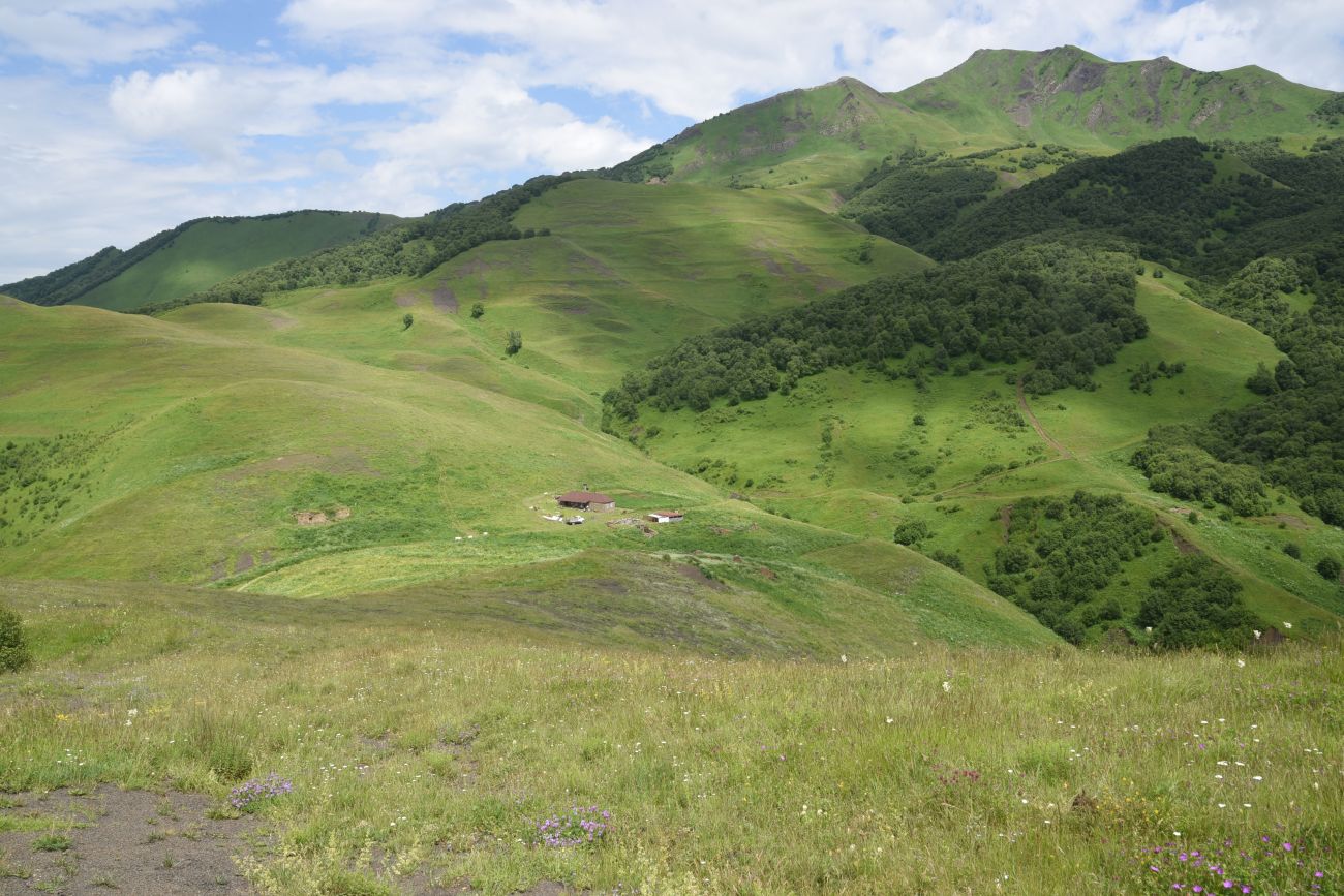 Хиндушты, image of landscape/habitat.