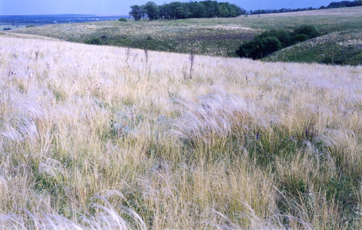 Аютинские склоны, image of landscape/habitat.