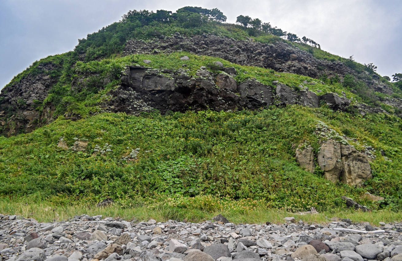 Устье реки Чёрная, image of landscape/habitat.