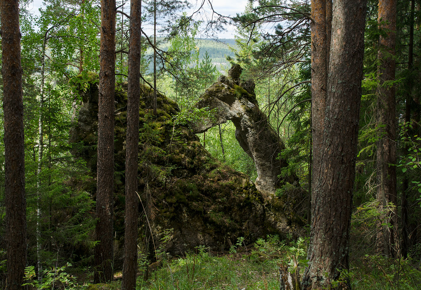 Саргая и окрестности, image of landscape/habitat.