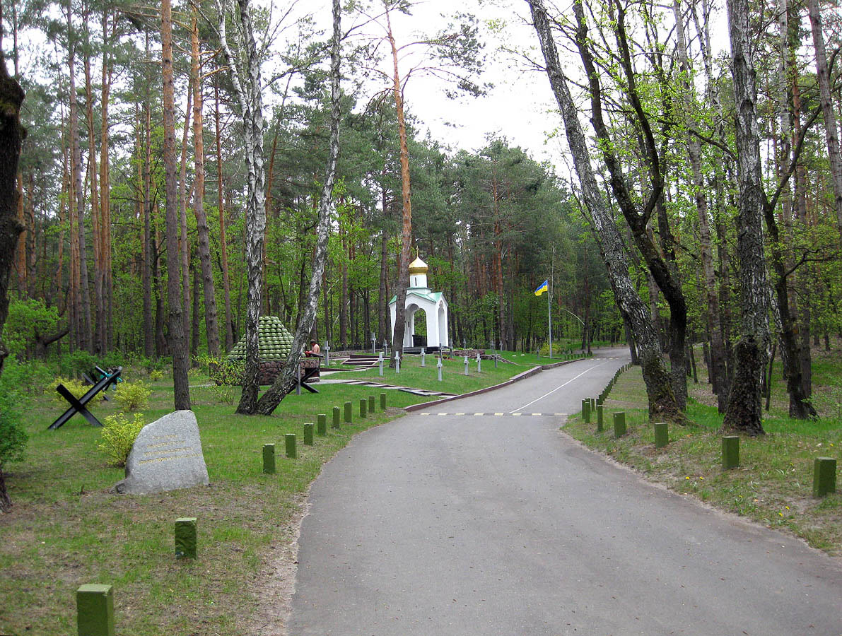 Лесники, боровая часть, image of landscape/habitat.