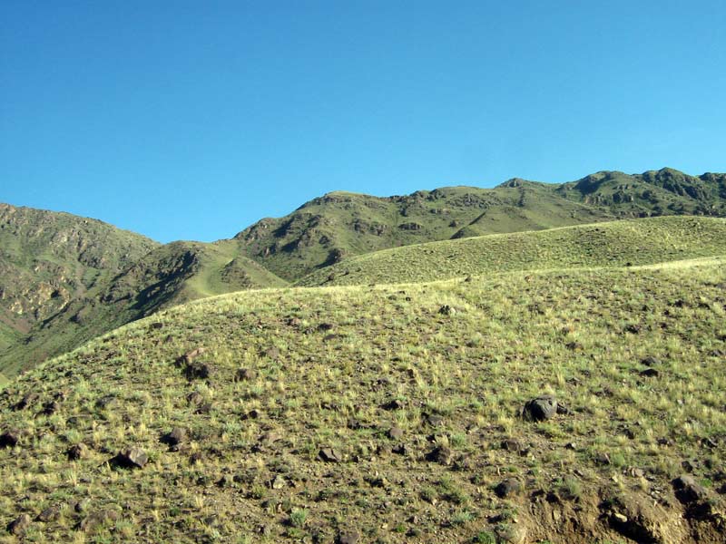 Горы Согети, image of landscape/habitat.