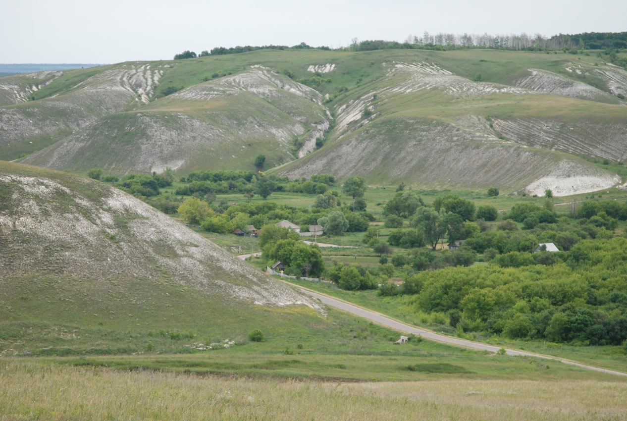 Костомарово, image of landscape/habitat.