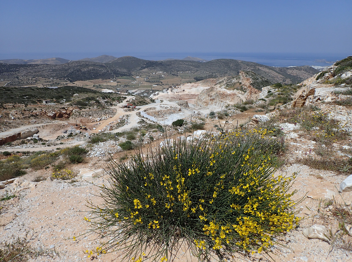 Остров Парос, image of landscape/habitat.