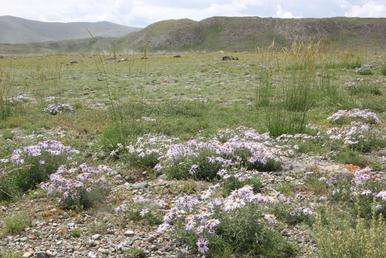 Тархатинские мегалиты, image of landscape/habitat.