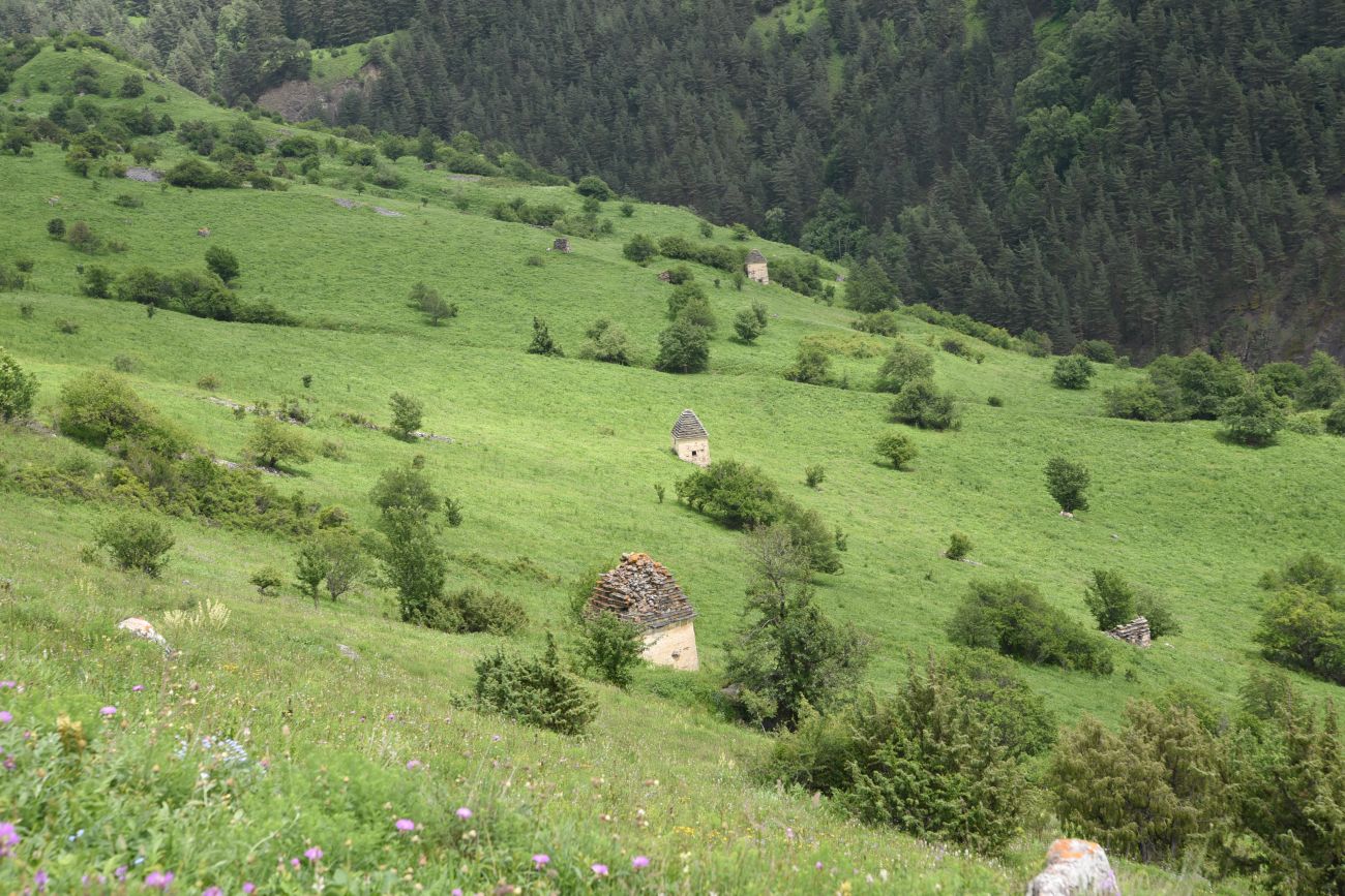 Окрестности урочища Керой, image of landscape/habitat.