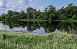 Окрестности города Звенигород, image of landscape/habitat.