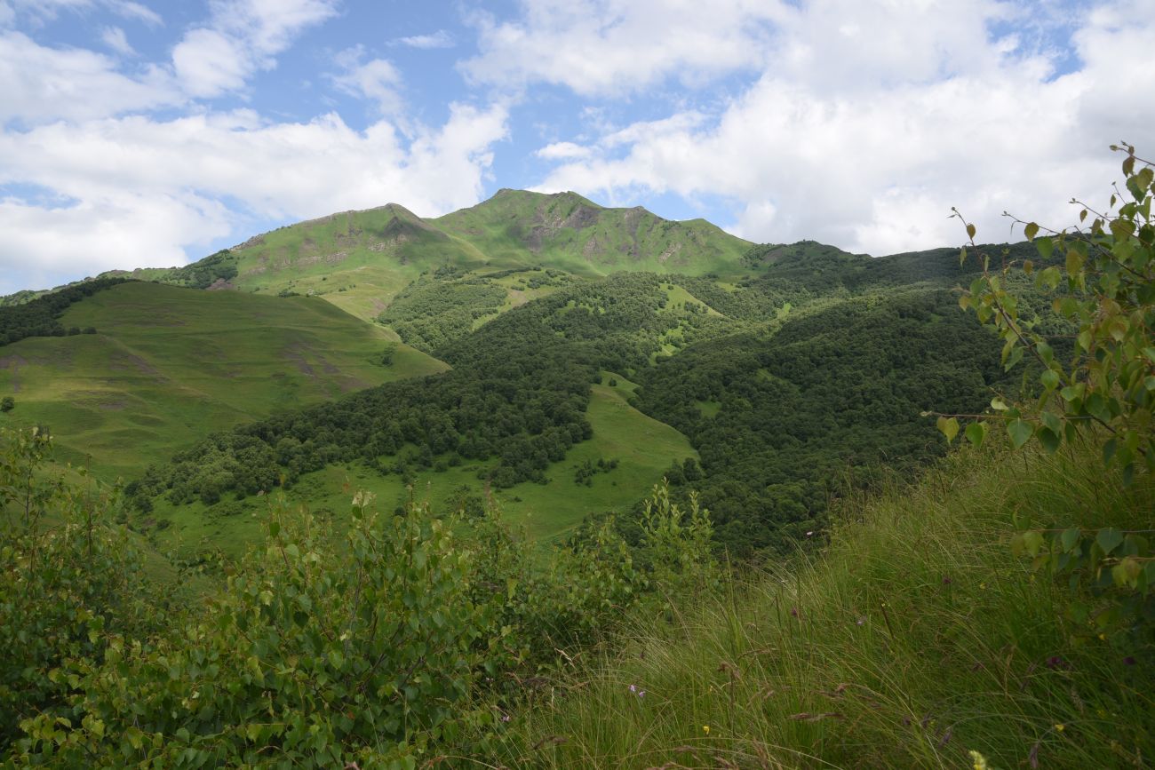 Сигнальная гора, image of landscape/habitat.