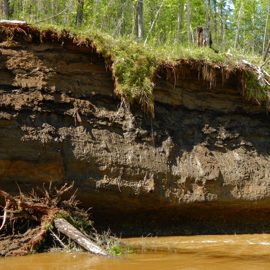 Низовья Лабыи, image of landscape/habitat.