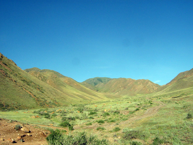 Горы Согети, image of landscape/habitat.