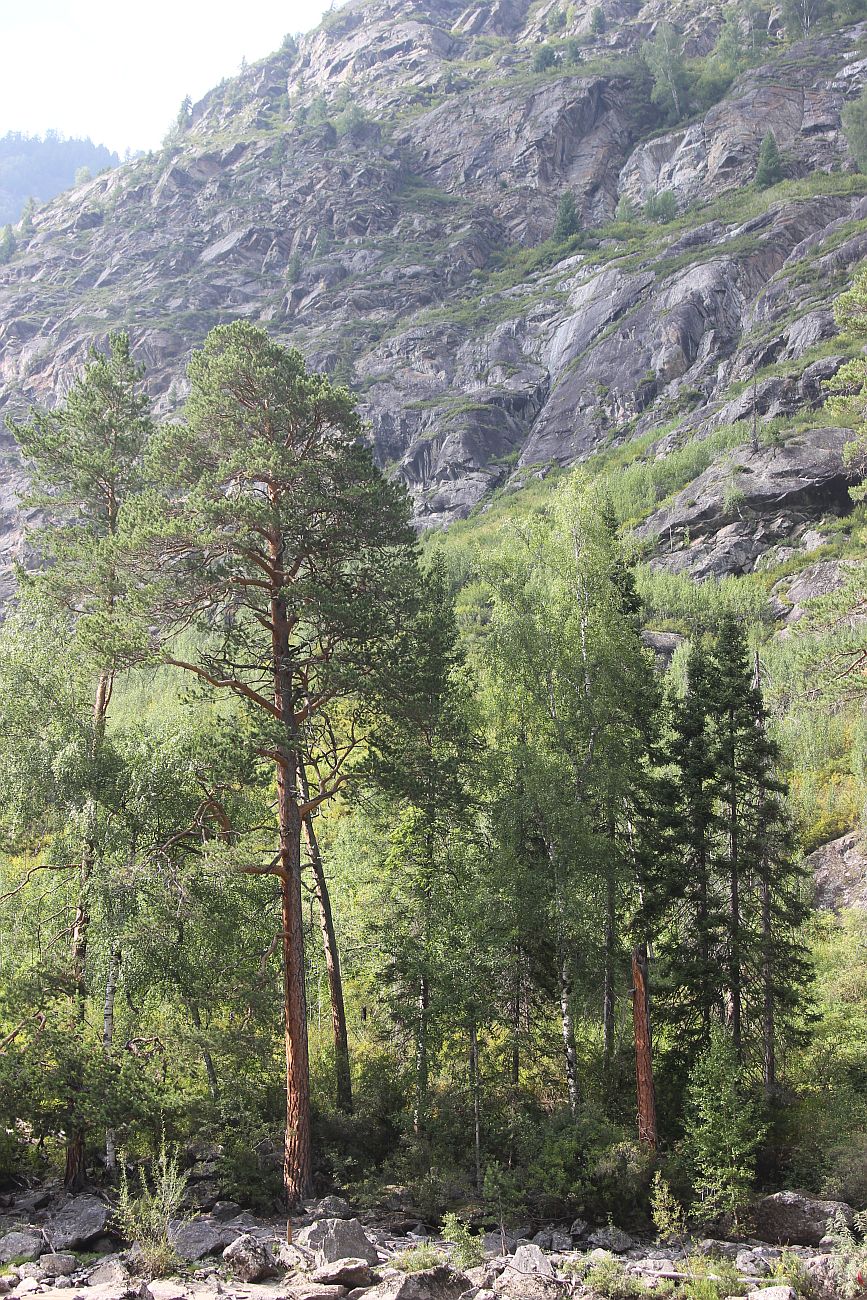 Окрестности водопада Учар, image of landscape/habitat.