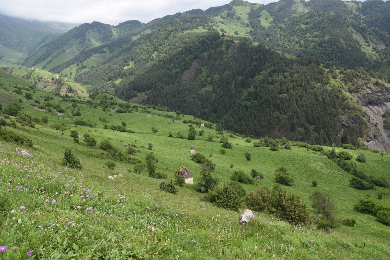 Окрестности урочища Керой, image of landscape/habitat.