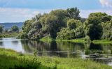 Окрестности города Звенигород, image of landscape/habitat.