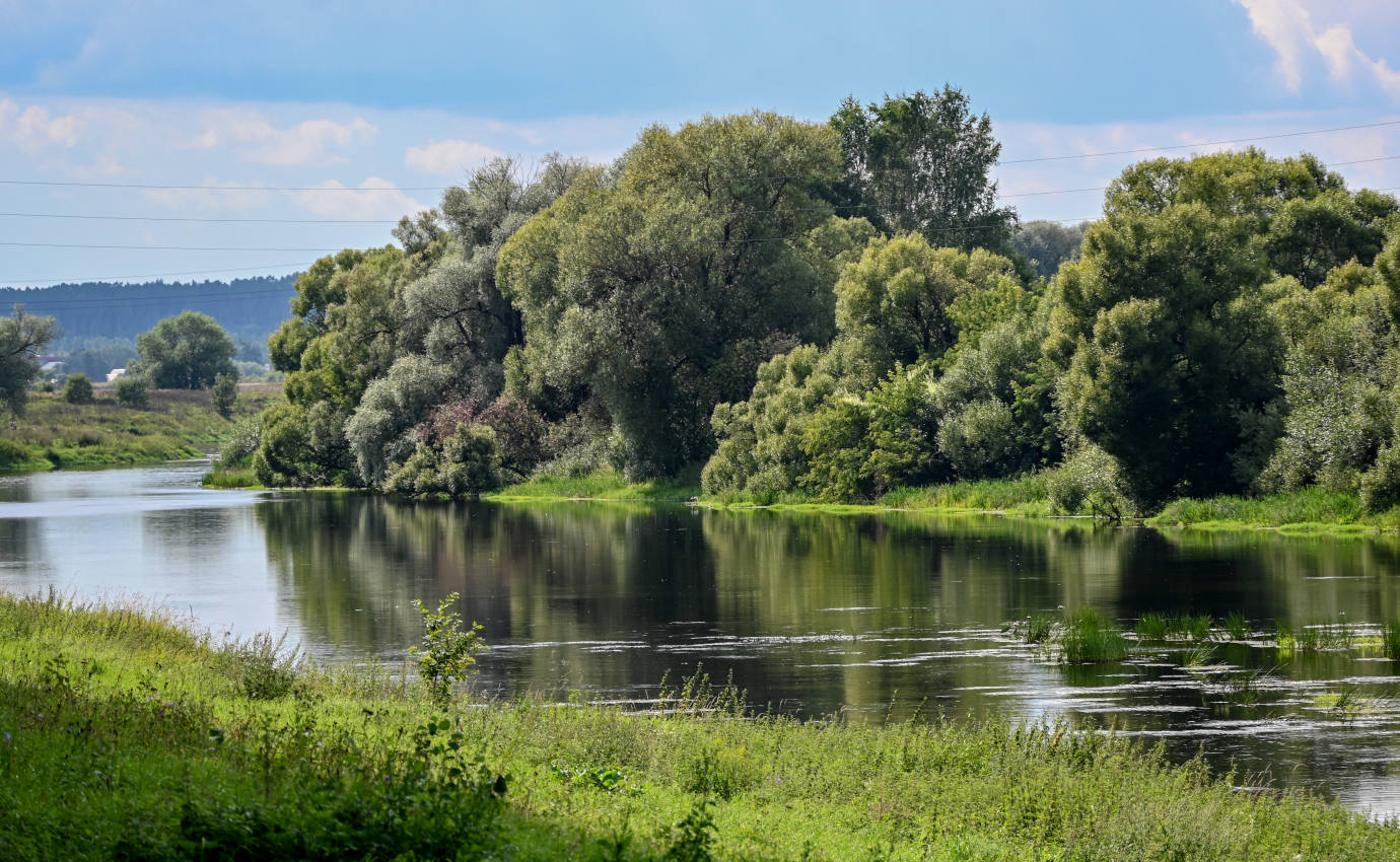 Окрестности города Звенигород, изображение ландшафта.