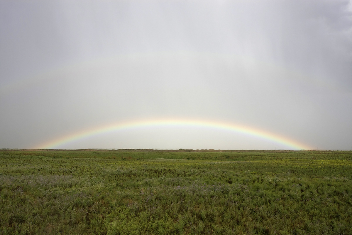 Правобережье Сыр-Дарьи, image of landscape/habitat.