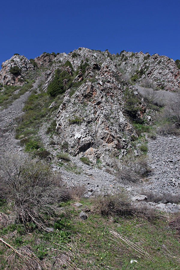 Ущелье Иргайлы, изображение ландшафта.