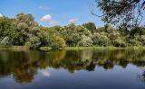 Окрестности города Звенигород, image of landscape/habitat.