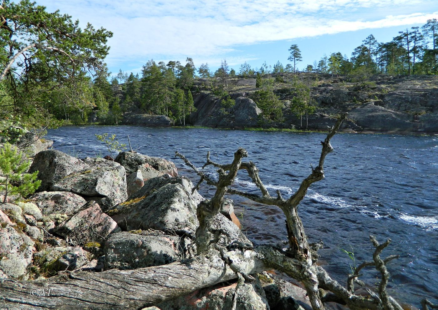 Остров Сюскюянсаари, image of landscape/habitat.