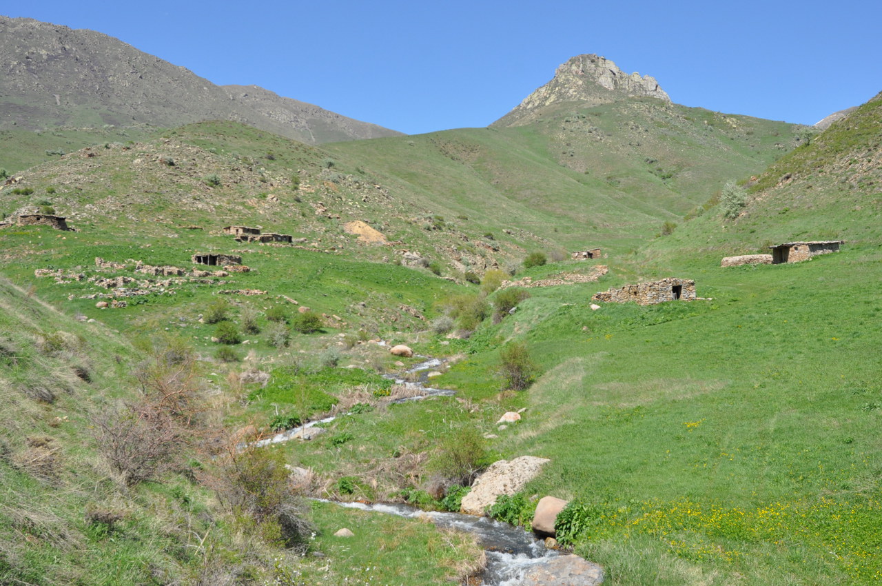 Спитакавор, image of landscape/habitat.