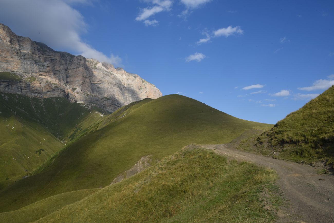 Цумандинский перевал, image of landscape/habitat.