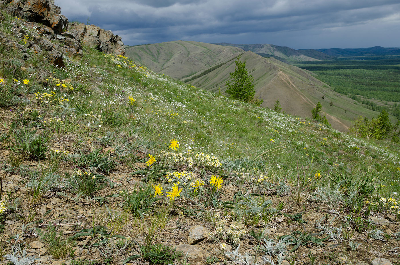 Яльчигулово и окрестности, image of landscape/habitat.