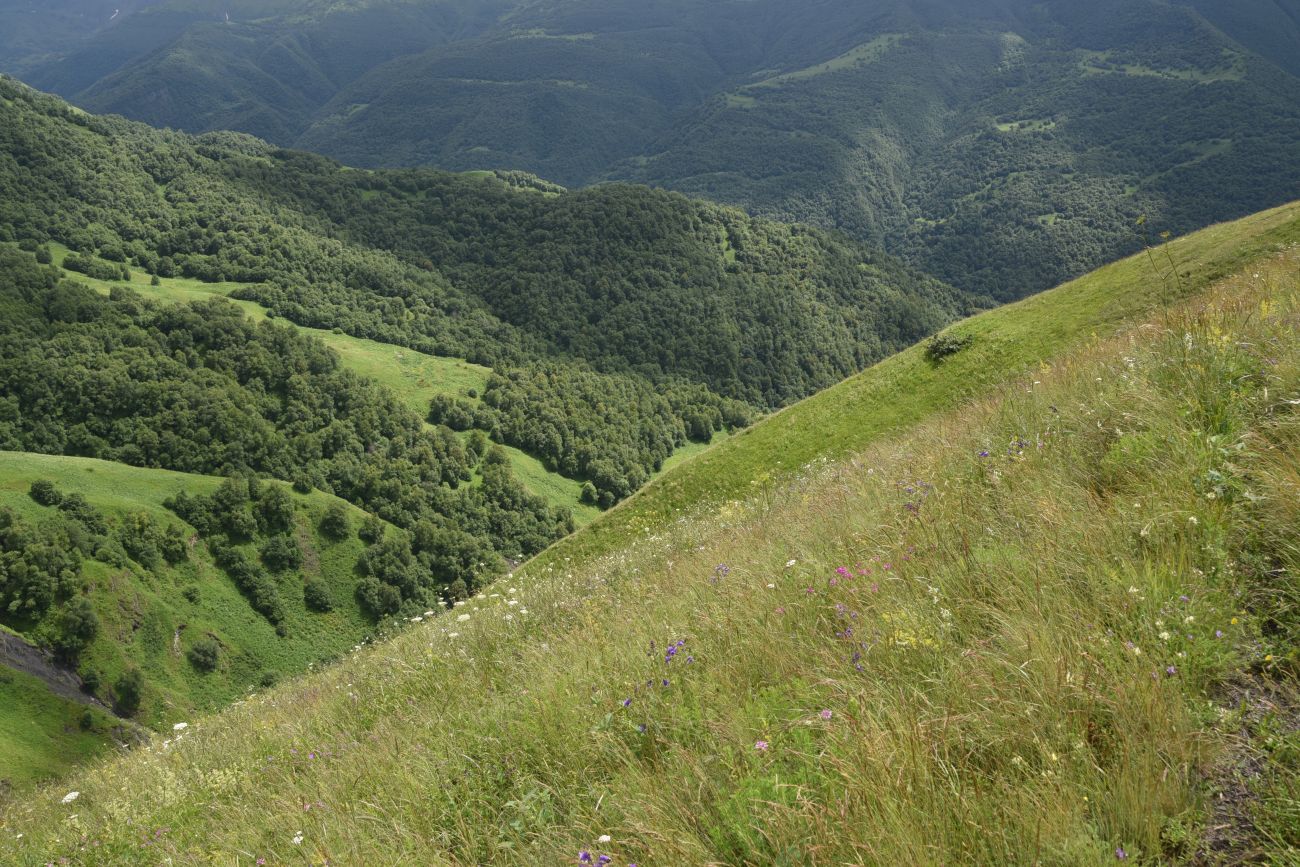 Хиндушты, image of landscape/habitat.