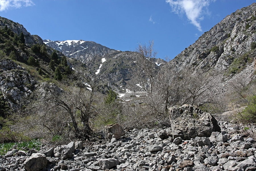 Ущелье Иргайлы, image of landscape/habitat.