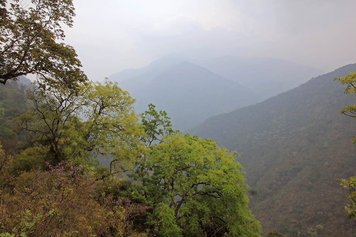 Джигме Синги Вангхук, image of landscape/habitat.