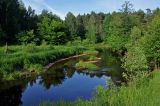 Долина реки Нерская, image of landscape/habitat.