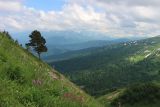 Узуруб, image of landscape/habitat.