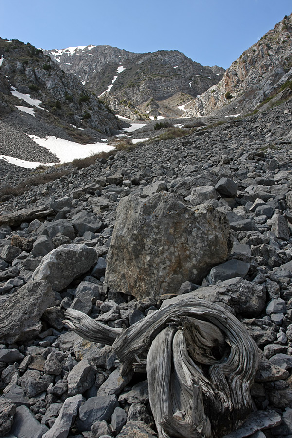 Ущелье Иргайлы, image of landscape/habitat.