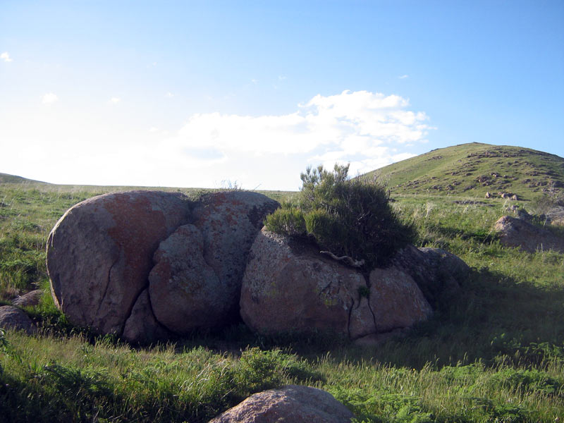 Хребет Жетыжол, image of landscape/habitat.